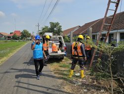Tingkatkan Keandalan Listrik, PLN Gelar Pemeliharaan di Wilayah Jombang