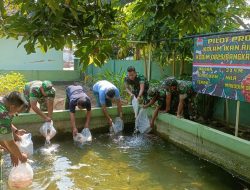Pembudidayaan Ikan Nila Sebanyak 800 Bibit, Kodim 0829/Bangkalan Laksanakan Kegiatan Pembinaan Ketahanan Pangan TA 2024