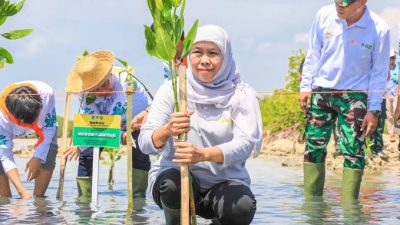 Peringatan Hari Lingkungan Hidup Sedunia, Khofifah Ajak Semua Pihak Untuk Komitmen Ciptakan Lingkungan Alam  Yang Seimbang