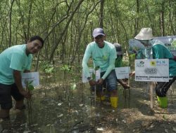 Lestarikan Lingkungan di Hari Lingkungan Hidup, PLN Icon Plus Selenggarakan CSR di Ekowisata Mangrove Wonorejo Surabaya