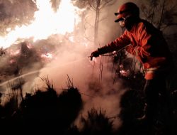 Kawasan Gunung Bromo Terbakar, TRC BPBD Jatim Bersama Tim Gabungan Turut Berjibaku Padamkan Api