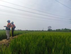 Perkuat keandalan Pasokan Listrik, Kolaborasi UIT JBM dan DJK Giatkan Rekonduktoring SUTT 150kV Lamongan – Babat