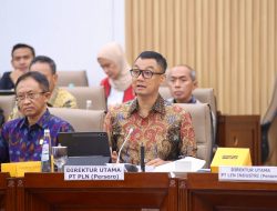 DPR RI dan Menteri BUMN Dukung PLN Untuk Bangun Kelistrikan Daerah Terpencil