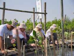 PLN Tanam 1.000 Mangrove Bebas Plastik di Hari Mangrove Sedunia