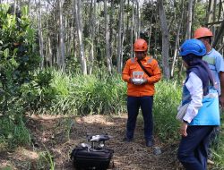 Inspeksi Rutin Berkala, PLN Rabas Pohon Sekitar Jaringan SUTT untuk Pertahankan Zero Kritis Pada Jalur Right Of Way