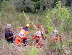BPBD Jatim dan Tim Gabungan Temukan Pencarian Pendaki Hilang di Gunung Wilis