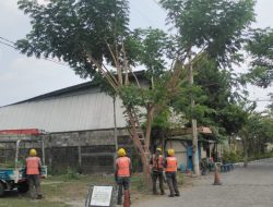 Tingkatkan Keandalan Pasokan Listrik, PLN Gelar Pengamanan Jaringan bebas ROW