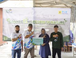 Tanam Pohon di Pesisir Kota Surabaya, PLN Icon Plus Jatim Peringati Hari Menanam Pohon Indonesia 2024