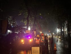 Cuaca Ekstrem Tumbangkan Pohon, PLN UP3 Mojokerto Gerak Cepat Pulihkan Jaringan Listrik di Kabupaten Mojokerto