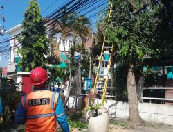 Sambut Natal 2024 dan Tahun Baru 2025, PLN UP3 Kediri Lakukan Grebek Rabas dan Pemeliharaan Jaringan