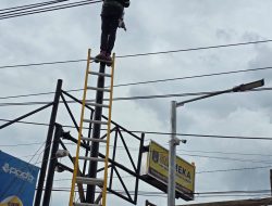 PLN Icon Plus Lakukan Perapihan dan Jaga Keandalan Listrik di Tiang PLN Kota Sidoarjo