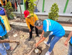 PLN Selenggarakan Sosialisasi Kelistrikan dan Penanaman Pohon Di Probolinggo Sebagai Bentuk Peduli Lingkungan