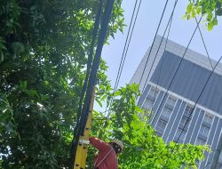 Jaga Keandalan Jaringan, PLN Icon Lakukan Pendataan Kabel Ilegal di Tiang PLN Kota Surabaya