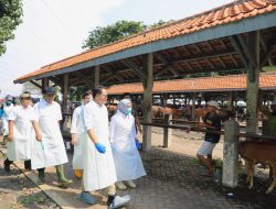 Antisipaai Wabah PMK di Kota Probolinggo, Pj. Gubernur Adhy Pastikan Hewan Ternak Layak Dijual