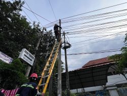 Dukung Mandiri U-20 Challenge Series, PLN Icon Plus Lakukan Perapihan Kabel Ilegal di Tiang PLN Kota Sidoarjo