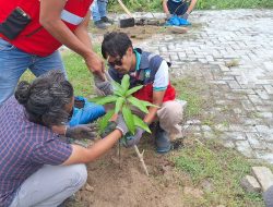 PLN UP3 Madura Dukung Pelestarian Lingkungan dengan Gerakan Tanam 100 Pohon di Pulau Gili Raja dan