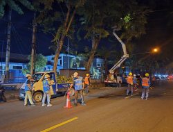 Pastikan Keandalan Listrik Selama Ramadan, PLN UP3 Madura Laksanakan Rabas Jaringan di Pamekasan