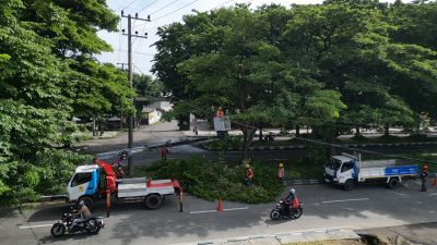 Jaga Keandalan Listrik,  PLN UP3 Surabaya Selatan Gelar Kegiatan “KOPI PAIT”
