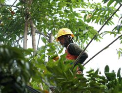 Jaga Keandalan Listrik Jelang HUT RI Ke-80, PLN UP3 Surabaya Selatan Gelar KOPI PAIT di ULP Ngagel