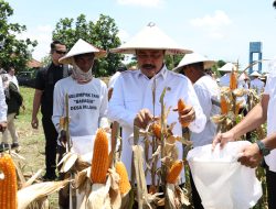 Kunjungan Kerja Menteri IMIPAS RI di Jawa Timur dalam Rangka Panen Raya Jagung Hibrida