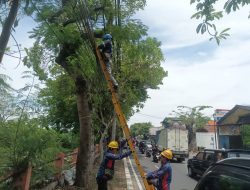 PLN Icon Plus Bersama Pemkot Surabaya Lakukan Program Tata Ulang Infrastruktur Digital Kota