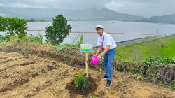 Peringati Hari Menanam Pohon Indonesia 2025, PLN Icon Plus dan PLN Grup Jawa Timur Tanam 10.000 Bibit Pohon di Bendungan Selorejo