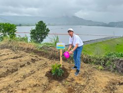 Peringati Hari Menanam Pohon Indonesia 2025, PLN Icon Plus dan PLN Grup Jawa Timur Tanam 10.000 Bibit Pohon di Bendungan Selorejo