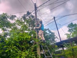 PLN Icon Plus Lakukan Penertiban Kabel dan Aset Kelistrikan, Perkuat Infrastruktur Digital di Kabupaten Gresik