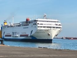 Terbongkar di Kapal Mewah Dharma Rucita VII, 209 Satwa Diselundupkan di Bawah Truk