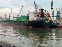 Pangkas Waktu Tunggu Kapal di Tanjung Perak, Ini yang Dilakukan PT Terminal Teluk Lamong