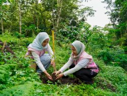 Srikandi PLN Icon Plus Jatim Tanam 200 Bibit Pohon di Kaki Gunung Arjuno–Welirang untuk Dukung Konservasi Lingkungan