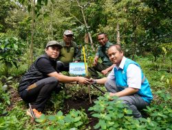 PLN Icon Plus Jatim Gelar Reforestasi di Kaki Gunung Arjuno–Welirang, Peringati Hari Lingkungan Hidup Sedunia