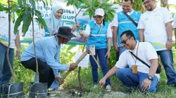 Wujudkan capaian PLN dalam mendukung transisi energi, PLN Surabaya Barat peringati hari lingkungan hidup dengan aksi tanam pohon